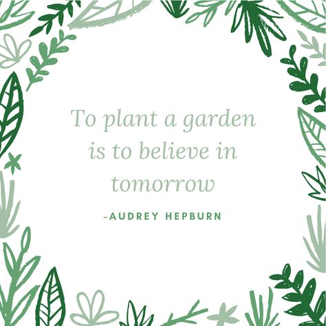 To plant a garden is to believe in tomorrow -Audrey Hepburn. #gardenquotes #plantquotes #flowerquotes To Plant A Garden Is To Believe In Tomorrow, To Plant A Garden Is To Believe Quote, To Plant A Garden Is To Believe, Quotes About Plants, Gardener Quotes, Secret Garden Quotes, Garage Quotes, Seed Quotes, Farm Mural