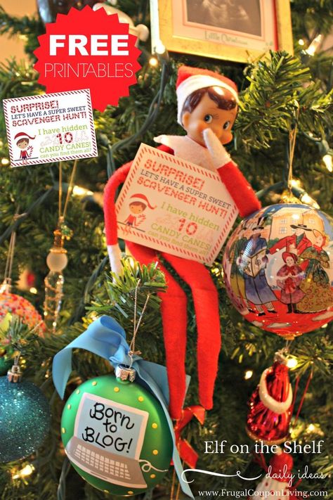 Creative Elf on the Shelf Ideas | Free Elf Scavenger Hunt Note on Frugal Coupon LIving. Free printable notes and Elf Props too! Elf Scavenger Hunt, Candy Cane Scavenger Hunt, Elf Props, Christmas Preparation, Girl Elf, Printable Notes, Elf On The Shelf Ideas, Religious Christmas, Shelf Ideas