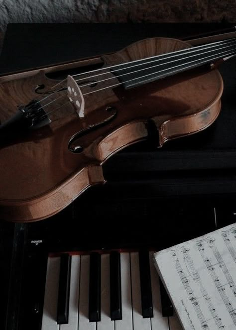 Fiddle Aesthetic, Orchestra Aesthetic, Aesthetic Violin, Paula Core, Violin Aesthetic, Hannah Core, Violin Photography, Piano And Violin, Author Dreams