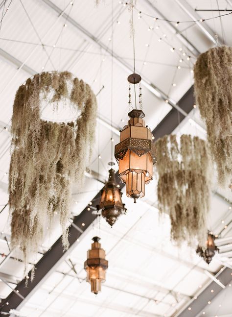 Halloween Wedding Reception: Hanging Lantern Installation and Moss Lantern Installation, Spanish Moss Wedding, Moss Wedding Decor, Halloween Wedding Reception, Halloween Wedding Ideas, Haunted Wedding, Erin Taylor, At Home Wedding, Moss Wedding