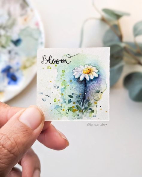 Day 5/100 CHAMOMILE Tiny chamomile painting, flower dancing on paper, saying 'Grow and shine in life's gentle chaos!' ❤️✨ Painting flowers can be intimidating for me, capturing that softness in floral art is a constant struggle. The prompts challenge me to step out of my comfort zone and improve 🤗 #floralpainting #paintingjourney #ArtisticGrowth #FloralArtistry #ArtisticChallenges #CreativeJourne #miniwatercolorpainting #PositiveVibesArt #chamomile #letitblossom2024 #loosepainting #100day... Tiny Paintings Ideas, Chamomile Painting, Tiny Watercolor Paintings, Chaos Painting, Tiny Paintings, Sky Art Painting, Watercolor Art Journal, Easy Love Drawings, Out Of My Comfort Zone