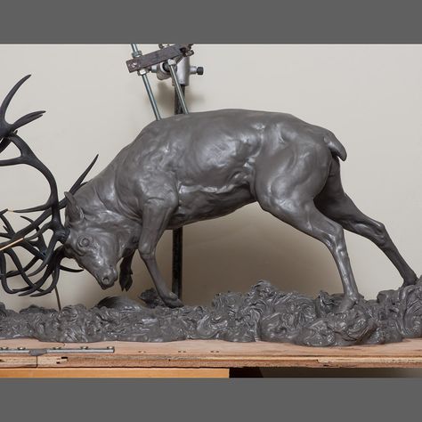 Goat Anatomy, Deer Anatomy, Elk Sculpture, Celtic Stag, Vizsla Art, Deer Sculpture, Sculpture Images, Deer Stags, Art Folder