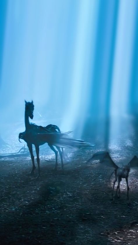 Fox Patronus Aesthetic, Thestral Wallpaper, Ravenclaw Ghost, Harry Potter Blue Aesthetic, Thestral Aesthetic, Thestral Harry Potter, Gaunt Family, Foredge Painting, Ravenclaw Aesthetic Wallpaper