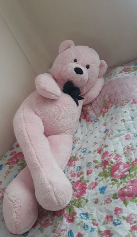 Teddy Snap, Cute Teddy Bear Pics, Sunset Quotes Instagram, Teddy Bear Pictures, Pink Teddy Bear, Bear Pictures, Pink Teddy, Girl Boss Style