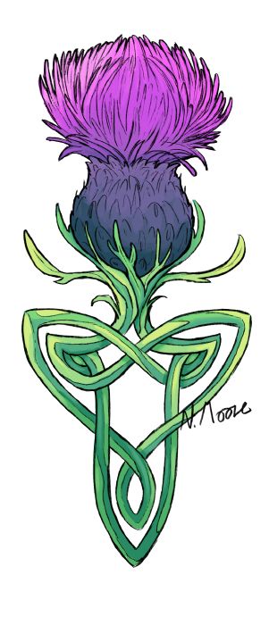 Irish Scottish Tattoos For Women, Celtic Floral Designs, Brigid Tattoo, Thistle Fairy, Celtic Knotwork Tattoo, Scotland Tattoo Ideas, Thistle Tattoos, Thistle Drawing, Irish Holidays