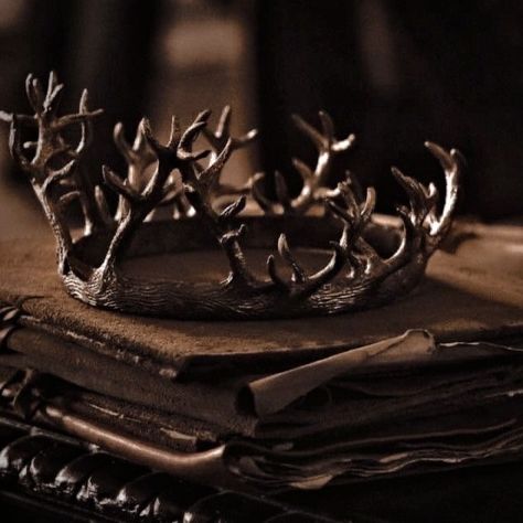 Baratheon Aesthetic, Era Victoria, Royalty Core, Elf King, Royal Core, Queen Of Nothing, Medieval Aesthetic, Margaery Tyrell, Royalty Aesthetic