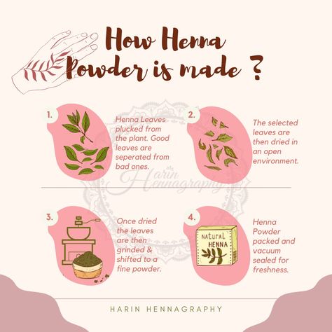 How henna powder is made from the plant How To Make Henna Powder, Henna Practice, Henna Recipe, How To Make Henna, Henna Leaves, Diy Henna, Beginner Henna, Henna Powder, Henna Inspired Tattoos