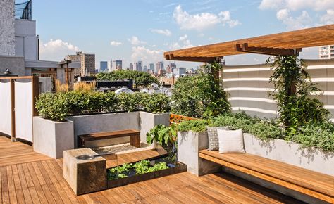 Great architecture, transportive greenery, and some pretty incredible views Rooftop Garden Urban, Green Roof System, Roof Garden Design, Terrasse Design, Terrace Garden Design, Rooftop Terrace Design, Rooftop Design, Living Roofs, Pergola Design