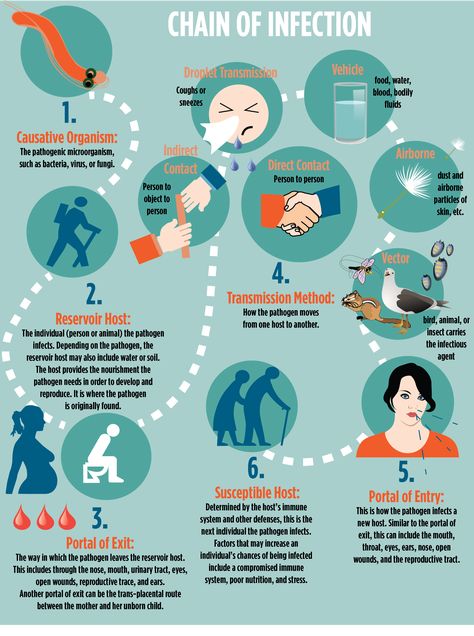 Chain Of Infection Poster, Chain Of Infection, Poster Drawing Ideas, Science Lab Safety, All Colours Name, Radiologic Technology, Doctor Logos, Lab Safety, Medical Student Study