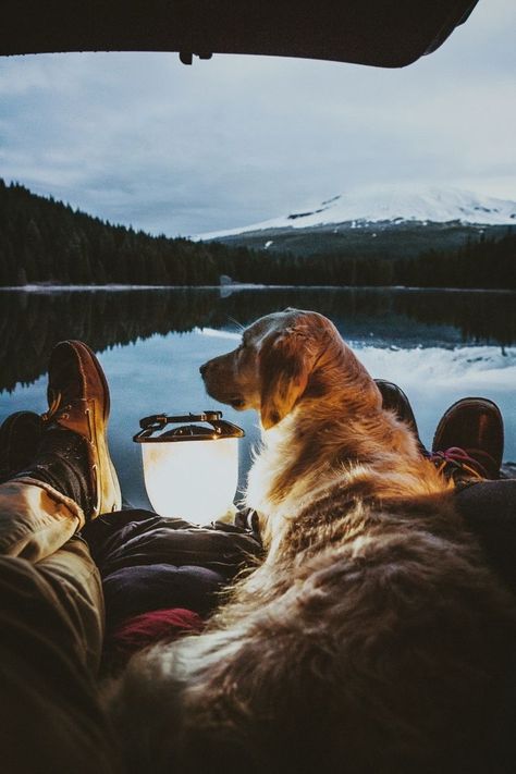 Haircut Selfie, Photo Hijab, Kombi Motorhome, Camping Aesthetic, Cute Hairstyle, Dog Camping, Hiking Dogs, Adventure Aesthetic, Mt Hood