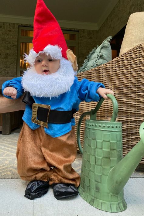 Gnome Family Costume, Gnome Costume Kids, Lawn Gnome Costume, Baby Garden Gnome Costume, Men’s Gnome Costume, Funny Family Costumes, Unique First Birthday Gifts, Garden Gnomes Costume, Gnome Costume