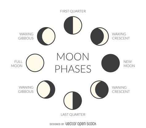 Illustrated moon phases. Download Large Image 1324x1165px Moon Phases Names, Moon Phases Drawing, Witchy Lifestyle, Tata Surya, Moon Phases Art, Moon Icon, Idee Cricut, Lunar Phase, Phases Of The Moon