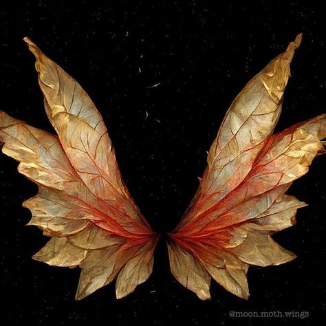 Anne Rea on Instagram: "Any thoughts on these? I’ve been wanting to make some more leaf-style wings 🍁" Fairy Wings Aesthetic, Fairy Wings Drawing, Forest Bugs, Leaf Wings, Fire Fairy, Diy Wings, Insect Wings, Moon Moth, Wings Drawing