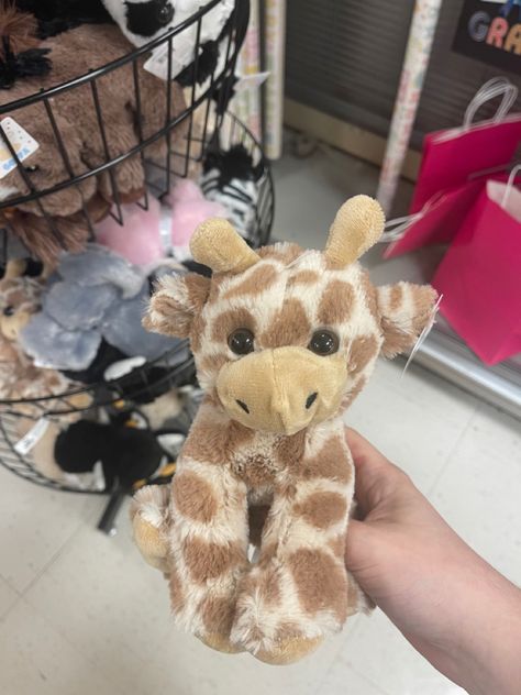 #giraffe #plush #plushcore #cute Toy Giraffe, Stuffed Giraffe, Giraffe Stuffed Animal, Jungle Safari Birthday, Stuffed Elephant, Safari Birthday Party, Cute Giraffe, Safari Birthday, Jungle Safari