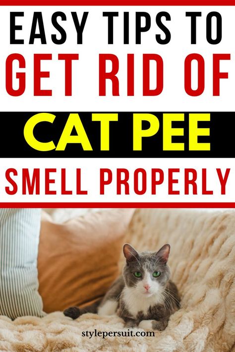 Cat urine odor can be persistent and challenging to remove, leaving your home smelling unpleasant. Whether it's due to marking territory, accidents, or other reasons, getting rid of the cat pee smell permanently requires thorough cleaning and targeted strategies. Checkout these effective methods to help you banish the odor for good and enjoy a fresh-smelling home once again. Eliminating Cat Urine Smell, Homemade Cat Repellent, How To Get Cat Urine Out Of Furniture, Cleaning Cat Urine From Carpet, Get Rid Of Cat Pee Smell, Cat Pee Smell Removal Carpets, How To Get Rid Of Cat Pee Smell In House, How To Get Rid Of Cat Urine Smell, Cleaning Cat Urine