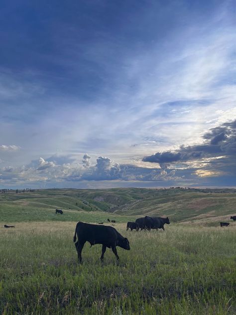 Nebraska Aesthetic, Transcendent Kingdom, Riley Aesthetic, Midwest Landscape, Midwest Aesthetic, Post College Life, 50 States Travel, American States, Beautiful Farm