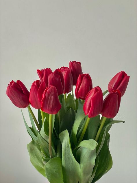 Boquette Flowers, Wallpaper Pastel, Nothing But Flowers, Flower Therapy, Beautiful Bouquet Of Flowers, Red Tulips, Tulips Flowers, Beautiful Bouquet, Flowers Nature