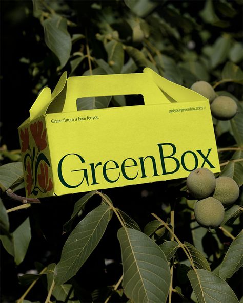 3/3 My take on Greenbox brief from @modernbrief Greenbox is a new e-commerce space that sells plants and pots to people living in urban areas. Project keywords: ○ Natural ○ Modern ○ Clean ○ Fresh ○ Premium 🏷️ #modernbriefgreenbox #packagingdesign #brandidentity #visualidentity #brandidentitydesign #identitydesign #designersofinstagram #branddesigner #branding #branddesign #brandingdesigner #brandingdesignersofinstagram #colourpaletteinspiration #colourpaletteinspo #modernbranding #printco... Plant Branding, Plant Store, Product Visualization, Plants And Pots, Green Box, Plant Shop, People Living, Modern Branding, Urban Area