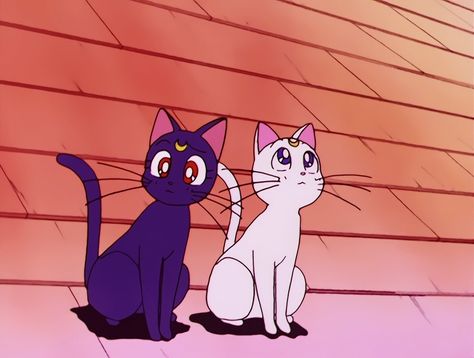 Artemis And Luna, Sailor Moon R, Luna And Artemis, Sailor Moon Luna, Nick And Judy, 90 Anime, Sailor Moon Character, Sailor Mercury, Sailor Moon Crystal