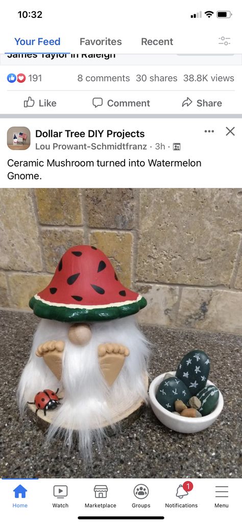 Gnomes Made From Ceramic Mushrooms, Dollar Tree Ceramic Mushroom Gnomes, Watermelon Decorations, Watermelon Head, Ceramic Mushrooms, Ceramic Mushroom, Watermelon Decor, Dollar Tree Diy, Dollar Tree