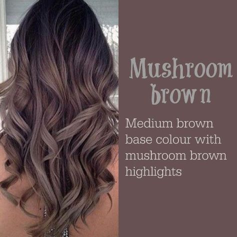 Mushroom Brown Highlights, Mushroom Hair, Mushroom Brown, Latest Hair Color, Brown Hair Balayage, Brown Highlights, Brown Blonde Hair, Hair Color Balayage, Hair Inspiration Color