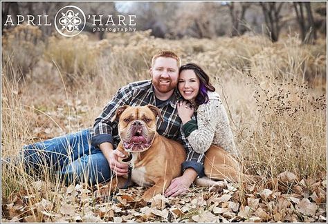 An Autumn engagement photo of a couple sitting with their huge French Mastiff… Couples With Dogs, Sitting Pictures, French Mastiff Dog, Dog Family Pictures, Family Dog Photos, Fall Photo Ideas, French Mastiff, Engaged Couples Photography, Loveland Colorado