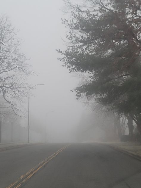 foggy road in forest, overhanging trees Foggy Neighborhood, Unforgiving Fog, Foggy Weather Aesthetic, Roads Background For Editing, Foggy Forest Road, Foggy Forest Aesthetic, Fog Core, Starling House, Calm Wallpapers