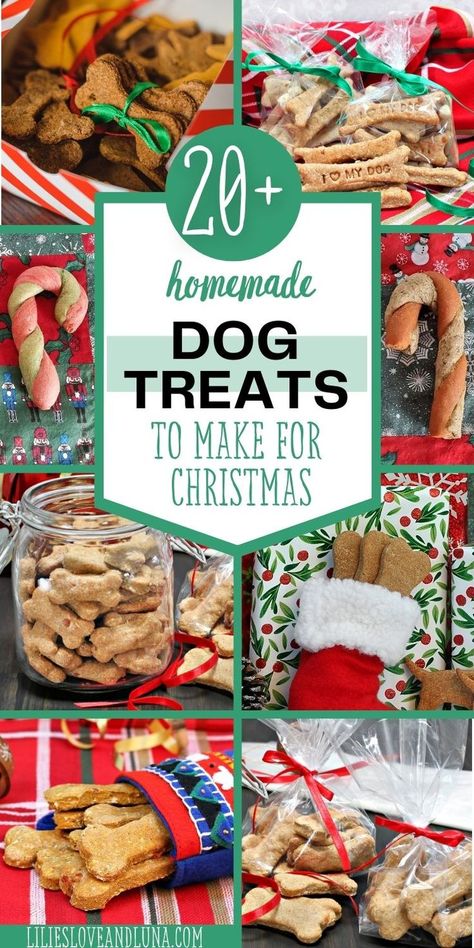 A collage of Christmas dog treats with a text overlay that reads 20+ homemade dog treats to make for Christmas. Diy Dog Treats Easy, Homemade Christmas Dog Treats, Dog Treats To Make, Homemade Dog Treats Recipes, Dog Treats Recipes, Holiday Dog Treats, Dog Cookie Recipes, Homemade Pet Treats, Pet Treats Recipes