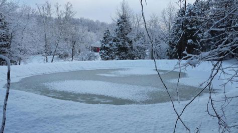 Bracken County Ky. Snow and frozen pond on my home farm. Frozen Pond Aesthetic, Pond Inspiration, Orbiting Jupiter, Drawing Backgrounds, Pond Covers, Xmas Village, Snow Castle, Frozen Pond, Kentucky Girl