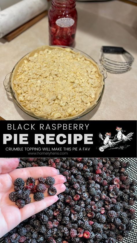 Homemade Raspberry Pie Filling, Black Raspberry Crisp, Black Raspberry Pie Recipe, Fresh Black Raspberry Recipes, Black Raspberry Pie Filling, Raspberry Pie Filling Recipes, Black Raspberry Cobbler, Black Raspberry Recipes, Pie Crumble Topping