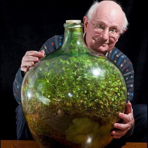 Amazing ecosystem in a jar! Kind of demonstrates how the Earth works! Large Glass Bottle, Bottle Terrarium, Self Sustaining, Old Oak Tree, Dekor Diy, Bottle Garden, Terraria, Photosynthesis, Watering Globe