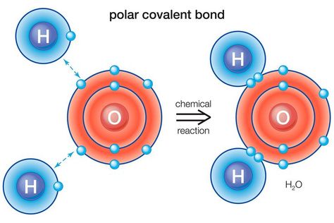 What's a Polar Bond in Chemistry? Definition and Examples A Level Chemistry Revision, Chemistry Definition, Chemical Bonds, Chemistry Organic, Chemistry Revision, Pharmacy Art, Chemistry Periodic Table, Chemistry Art, Ionic Bonding