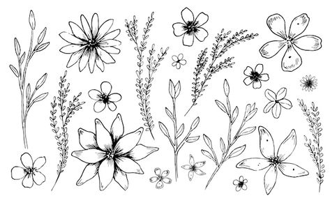 Premium Vector | Simple vector flowers and plants sketch of plants in outline style floral linear drawing of chamomile and daisy Plants Sketch, Plant Sketches, Floral Drawing, Vector Flowers, Lotus Flower Tattoo, Vector Photo, Premium Vector, Flower Tattoo, Graphic Resources