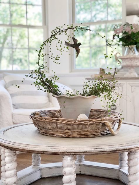 Farmhouse Plant Decor, Plants On Table Decor, Plant Stand Decor Ideas, French Decorating Ideas, Shabby Chic Farmhouse Decor, Vibeke Design, White Soup, Shabby Chic Home Decor, French Country Furniture