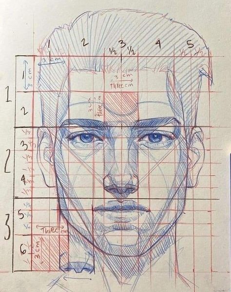 Face Proportions Drawing, Drawing Proportions, Drawing Tutorial Face, Human Anatomy Drawing, 얼굴 그리기, Human Anatomy Art, Portraiture Drawing, Anatomy Drawing, New York New York