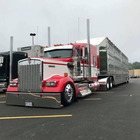 Bull Hauler, Truck Driver Wife, Kenworth W900, Vintage Jeep, Dump Trailers, Custom Big Rigs, Lifted Chevy Trucks, Kenworth Trucks, Truck Interior