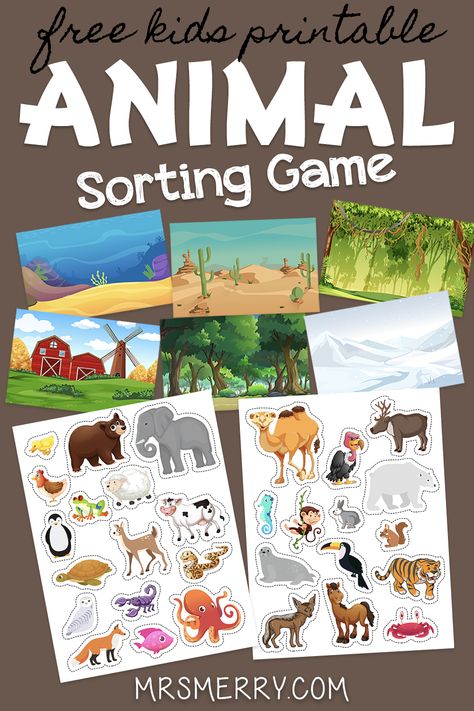 Where Animals Live Preschool, Animals Learning Activities, Habitat Activities For Kindergarten, Animal Habitat Sorting Free Printable, Animal Families Activities, Animal Sorting Free Printable, Mammal Activities For Preschool, Animals Habitats Activities, Animals Around The World Preschool