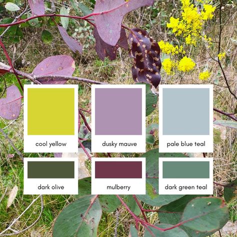 Chartreuse And Purple Color Palette, Australian Colour Palette Color Schemes, Olive Green Complementary Colors, Yellow And Lilac Aesthetic, Yellow Purple Green Color Scheme, Mulberry Purple Aesthetic, Purple Yellow Aesthetic, Oxford Apartment, Purple And Yellow Aesthetic