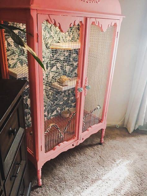 Bird Cage From Old Furniture, Pet Dove Cage, Pet Bird Cage Ideas, Diy Birdcage For Birds, Bird Cages Diy, Custom Bird Cage, Pigeon Enclosure, Diy Budgie Cage, Budgie Enclosure