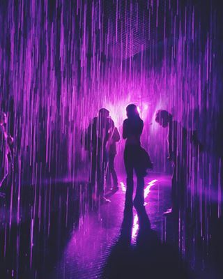 Artists Made A Purple Rain Room To Honor Prince And The Photos Are Stunning - BuzzFeed News Purple Rain Aesthetic, Euphoria Mood, Bedroom Primary, Rain Room, Rain Street, Poster Text, Rain Pictures, Rip Prince, Purple Vibe