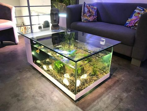 House Fish Tank, Fish Tank Home, Fish Tank Table, Fish Tank Coffee Table, Aquarium Coffee Table, Wall Aquarium, Amazing Aquariums, Fish Tank Terrarium, Cool Fish Tanks