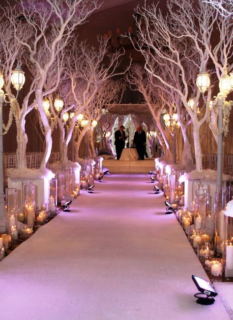 White Christmas Decorations For Wedding Tree Wedding Ceremony, Wedding Aisles, Christmas Wedding Themes, Wedding Reception Entrance, Bar Deco, Winter Wedding Venues, Reception Entrance, The Wedding, Winter Wedding Colors