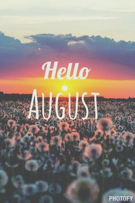 Hello August! August Pictures, Hello August, Speak The Truth, The Truth, Photo Image, Wallpapers, Tumblr, Movie Posters, Art