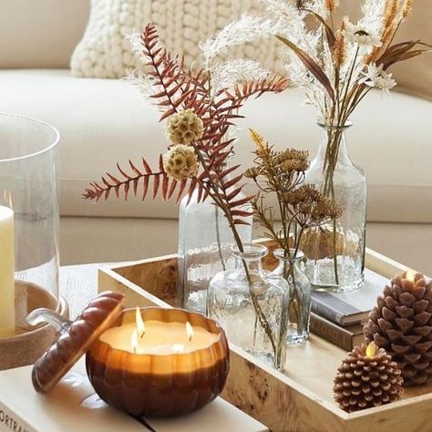 Pottery Barn Canada on Instagram: "Adding a moody glow is easy as 1, 2, 3 ✨ Signify a change of season in a snap with a small decor update! Mix and match finishes and create a welcoming space with one of our newest Fall candles 🕯 #potterybarn #mypotterybarn #candle #falldecor" Pottery Barn Candle, Fall Candles, Lifestyle Products, Small Decor, Changing Seasons, Mix N Match, Mix And Match, Pottery Barn, Chestnut