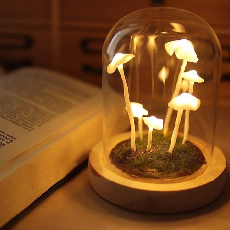 𝗕𝗹𝗮𝗰𝗸𝗯𝗿𝗱 on Instagram: “Mushroom in forest light lamp 🌿 https://blackbrdstore.com/products/mushrooms-in-forests-light #interiorstylist #myhome #plantstagram…” Desain Pantry, Diy Lampe, Mushroom Lights, Led Wand, Forest Light, Mushroom Decor, Mushroom Lamp, Cute Room Decor, Decor Minimalist