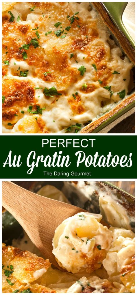 PERFECT Au Gratin Potatoes Au Gratin Potatoes Recipe, Gratin Potatoes Recipe, Daring Gourmet, Au Gratin Potatoes, Au Gratin Potato Recipes, Gratin Potatoes, Au Gratin Recipes, Potato Recipes Side Dishes, Potatoes Au Gratin