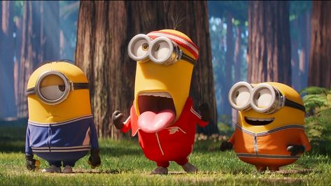 Minions Wallpaper Hd Desktop Backgrounds, Minion Bob Cute, Trio Minions, Minion Background, Kevin The Minion, Minion Wallpaper Hd, Bob The Minion, Minions Friends, Trio Pics