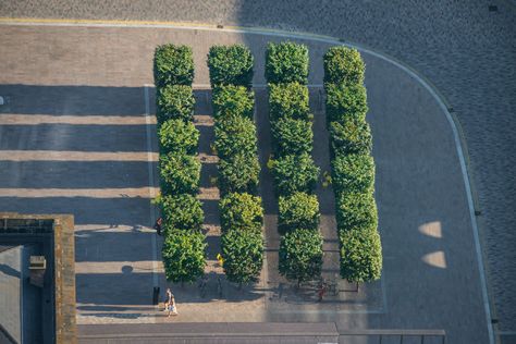 Granary Square, Square Tree, London Look, Aerial Images, Public Realm, London Photos, Famous Landmarks, Public Spaces, Most Beautiful Cities