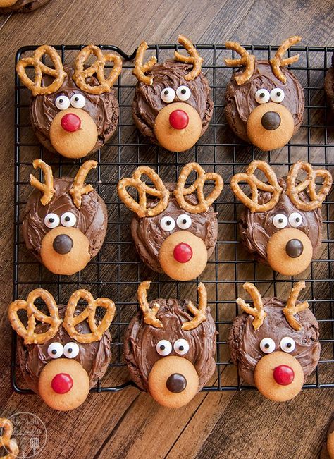 Above view of reindeer cookies on a cooling rack. Unique Christmas Cookies, Cookie Recipes For Kids, Soft Gingerbread Cookies, Best Christmas Cookie Recipe, Cute Christmas Cookies, Basic Cookies, Reindeer Cookies, Easy Christmas Cookie Recipes, Christmas Cookie Recipes