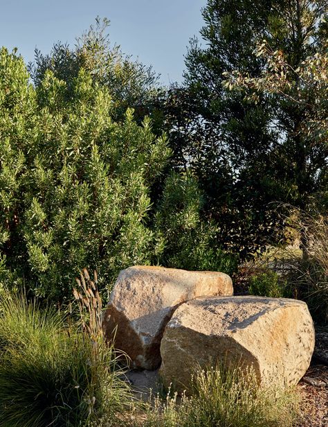 Boulder Garden, Australian Garden Design, Bush Garden, Australian Native Garden, Landscaping With Boulders, Australian Garden, Australian Native Plants, Coastal Gardens, Native Garden